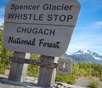 ongerept alaska