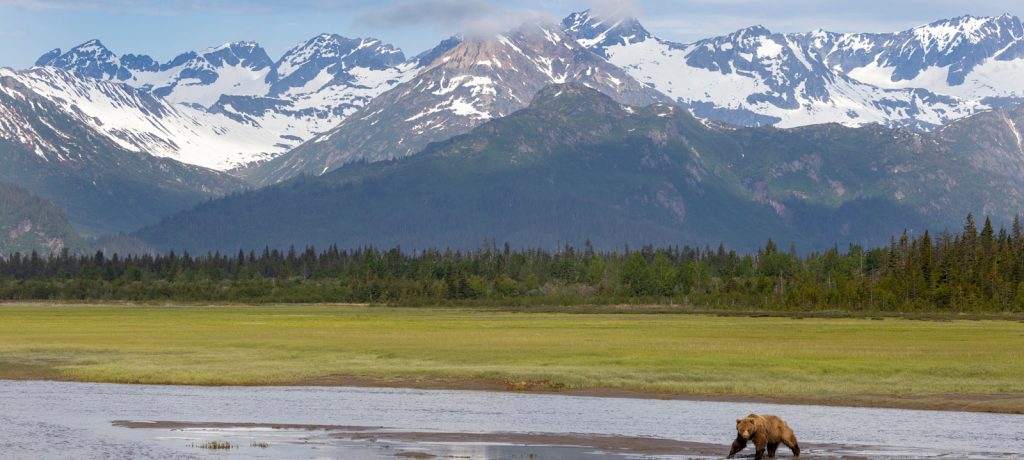 Alaska Bear Camp Alaska Bear Camp