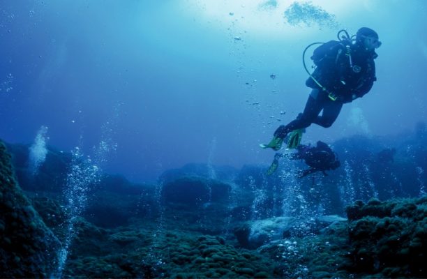 Diving by Octopus Portugal