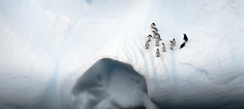 Drake Passage, zuidpoolcirkel expeditie, Antarctica