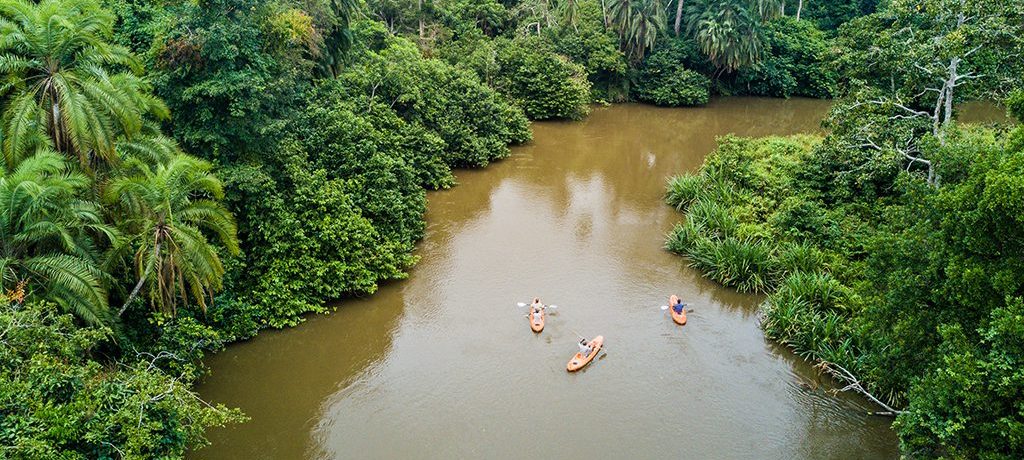 Dzanga Sangha Forest Reserve