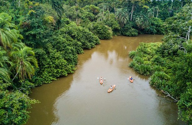 Dzanga Sangha Forest Reserve