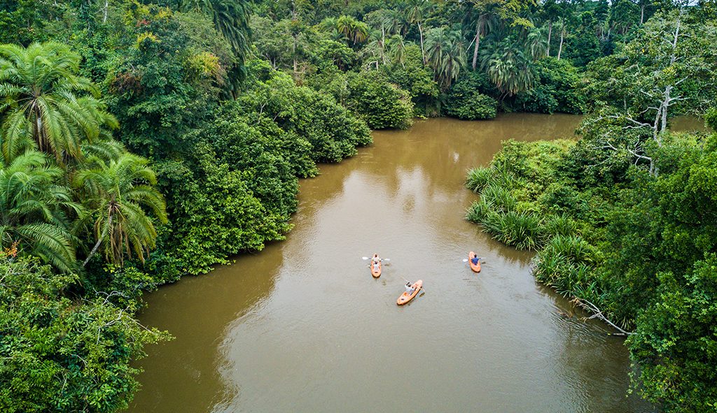 Dzanga Sangha Forest Reserve