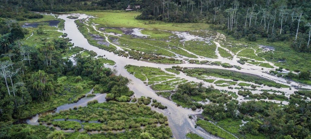 Odzala - Dzanga Sangha