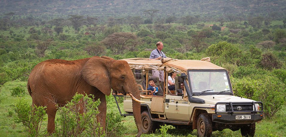 Elephant Bedroom Camp