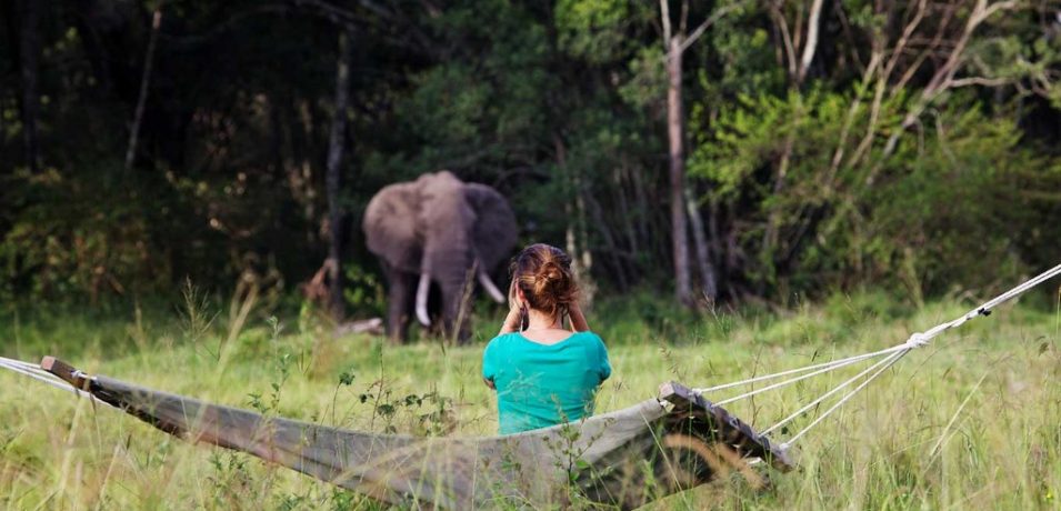 Elephant Pepper Camp