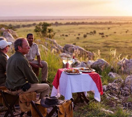 Bush Picknick