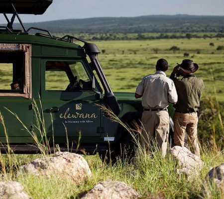 Tarangire Treetops game drive