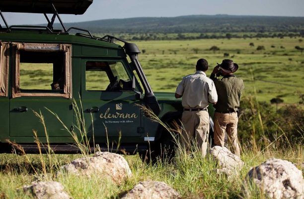 Tarangire Treetops game drive