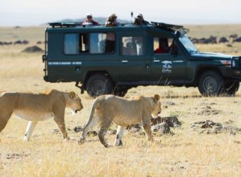 Game drive