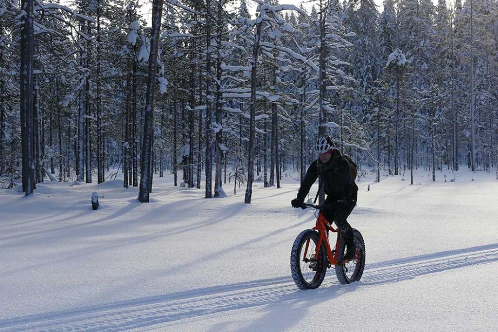 Fatbike