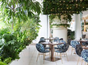 Botanicus terras