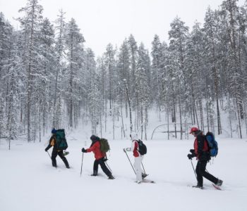 Sneeuwschoentrekking Sneeuwschoentrekking