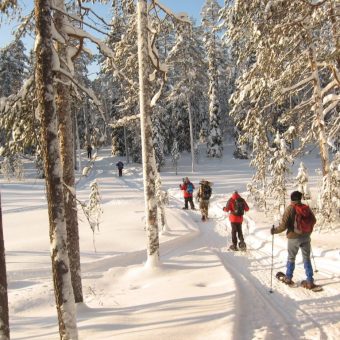 Actieve vakanties winter, Sneeuwschoen wandelreis in Fins Lapland (Hossa)