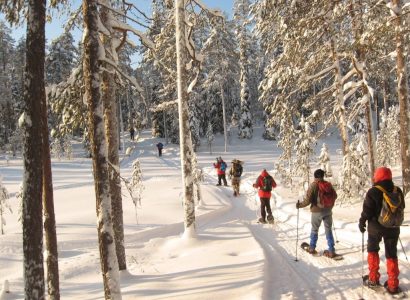 Actieve vakanties winter, Sneeuwschoen wandelreis in Fins Lapland (Hossa)