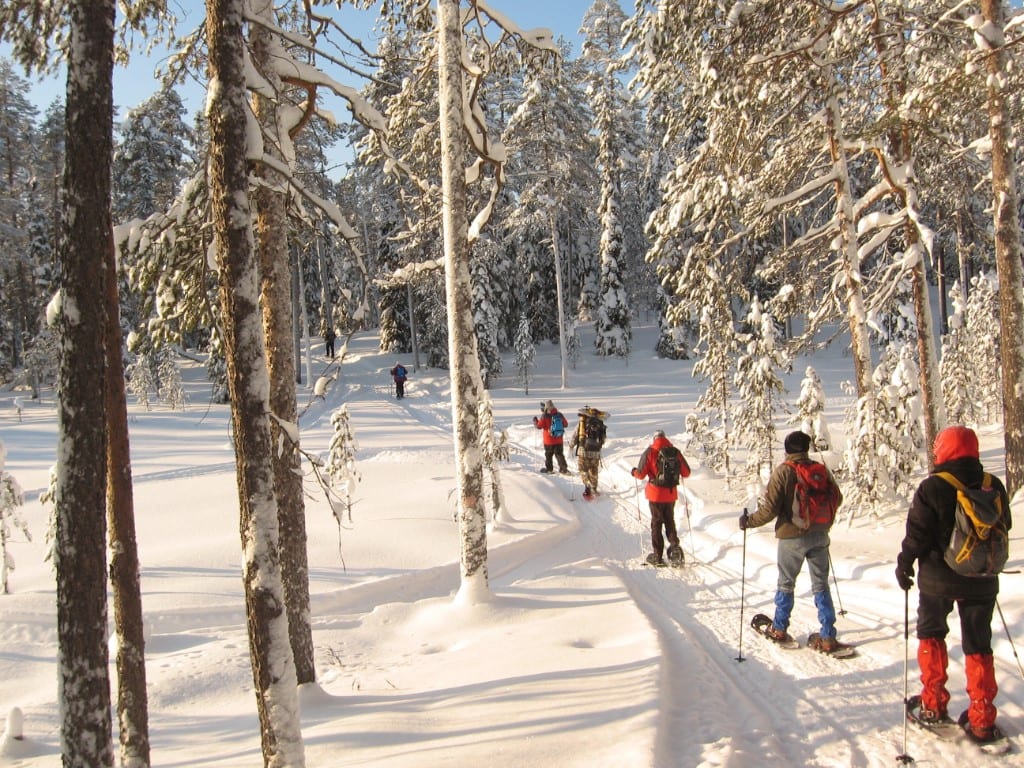 Actieve vakanties winter, Sneeuwschoen wandelreis in Fins Lapland (Hossa)