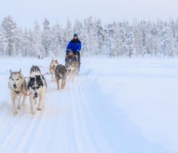Fins Lapland, Finland