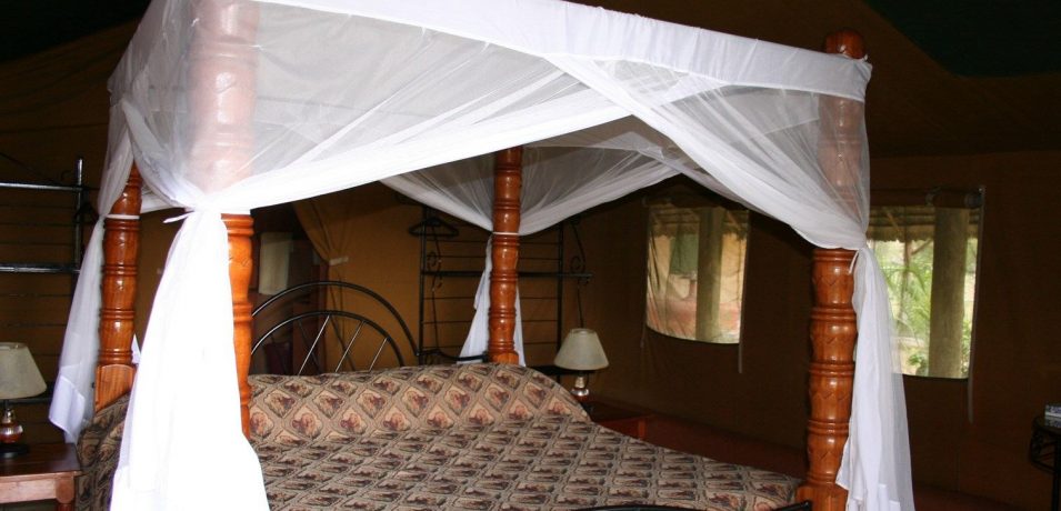 Flamingo Hill Tented Camp