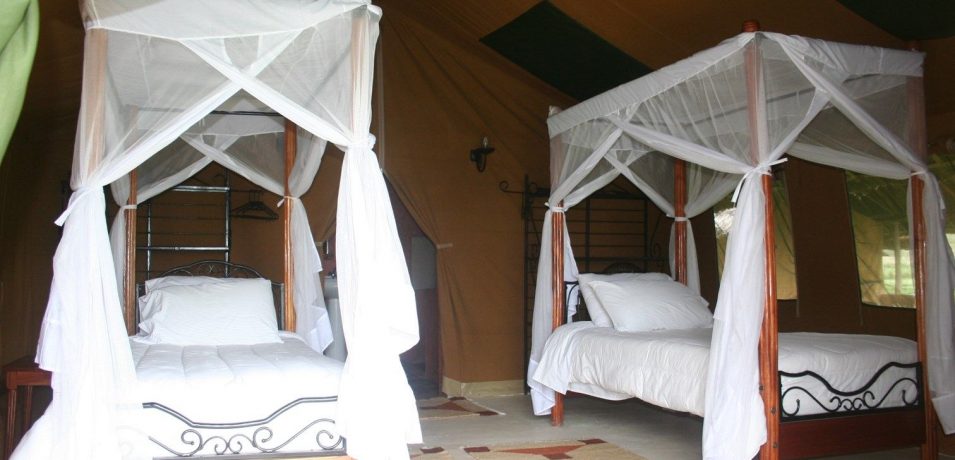 Flamingo Hill Tented Camp