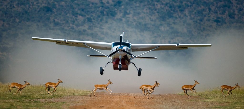 Fly in Kenia & Tanzania, Fly in safari reizen