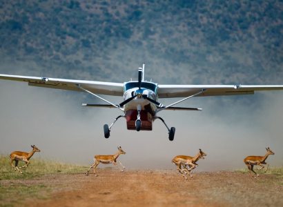 Fly in Kenia & Tanzania, Fly in safari reizen