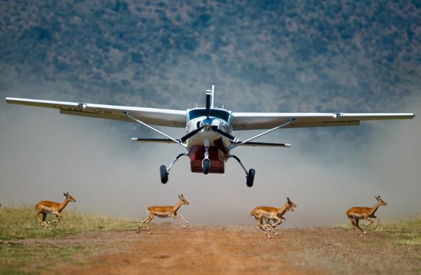 Fly in Kenia & Tanzania, Fly in safari reizen