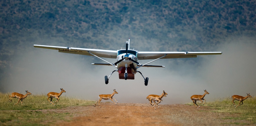 Fly in Kenia & Tanzania, Fly in safari reizen