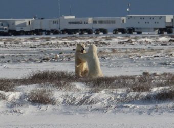 Churchill Tundra Buggy Lodge