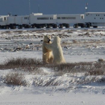 Churchill Tundra Buggy Lodge
