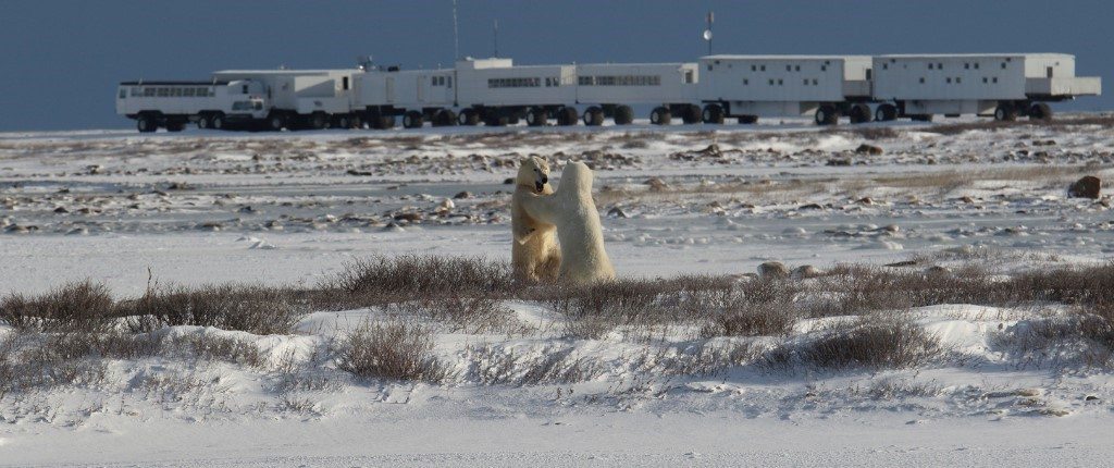 Churchill Tundra Buggy Lodge