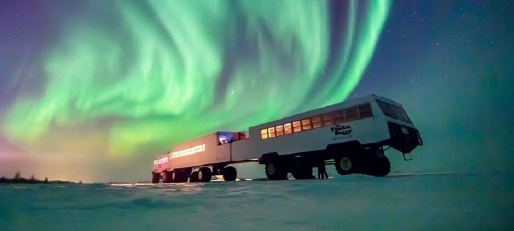 Churchill ijsberen winter