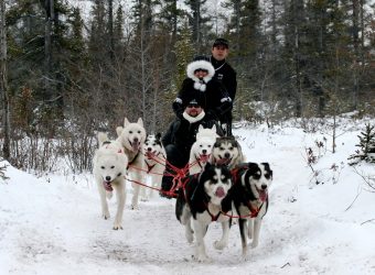 Husky Churchill winter
