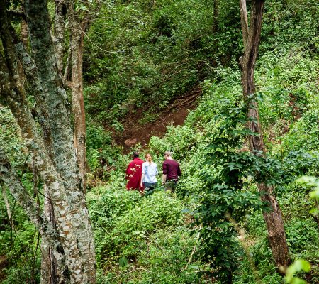 Ngorongoro wandeling