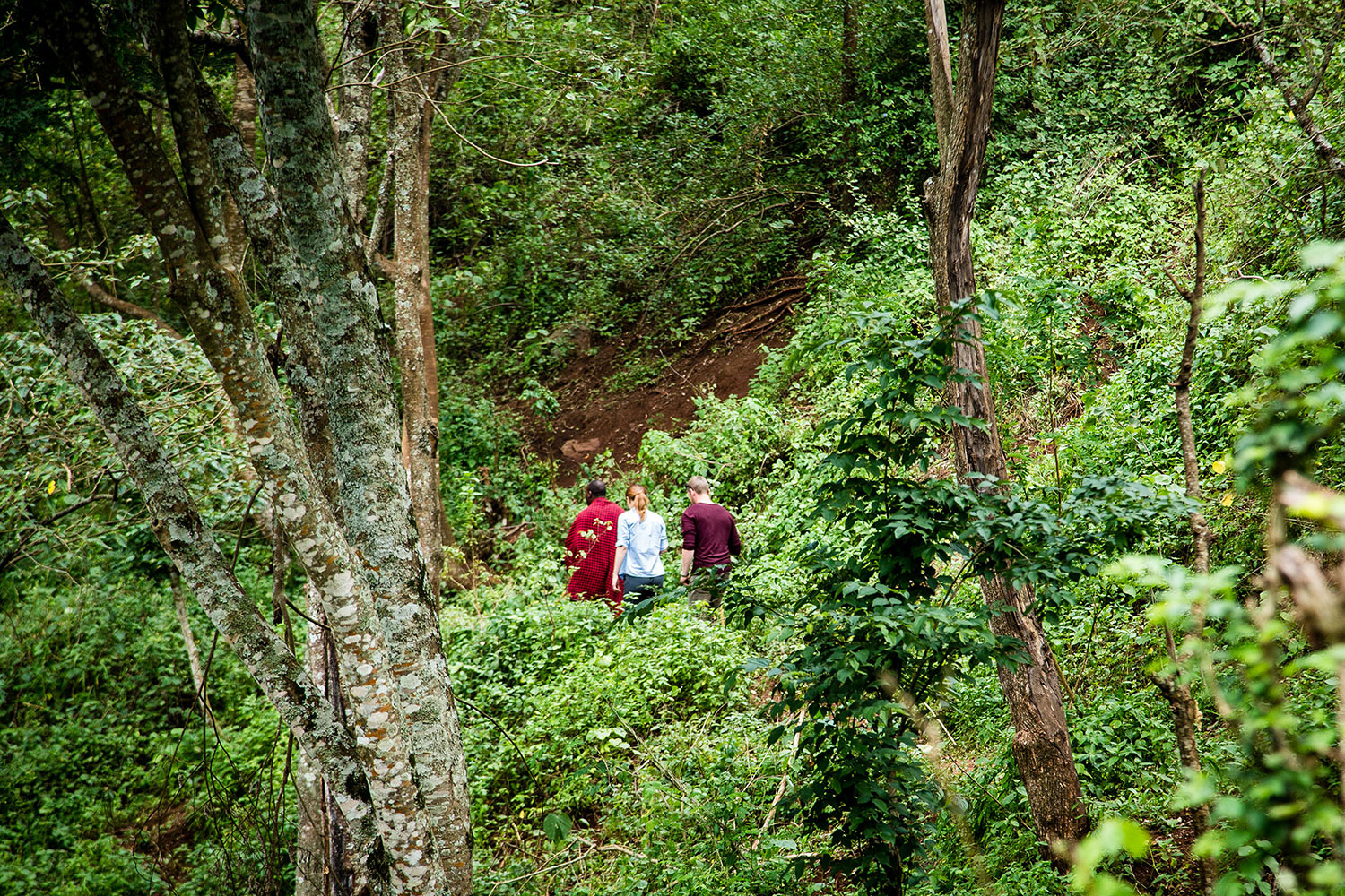 Ngorongoro wandeling