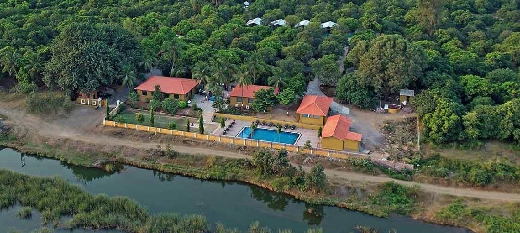 Gir Lion Safari Camp Gir Lion Safari Camp