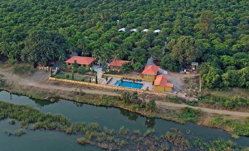 Gir Lion Safari Camp