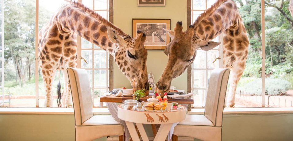 Giraffe Manor