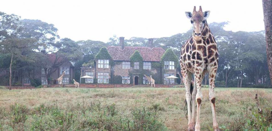 Giraffe Manor