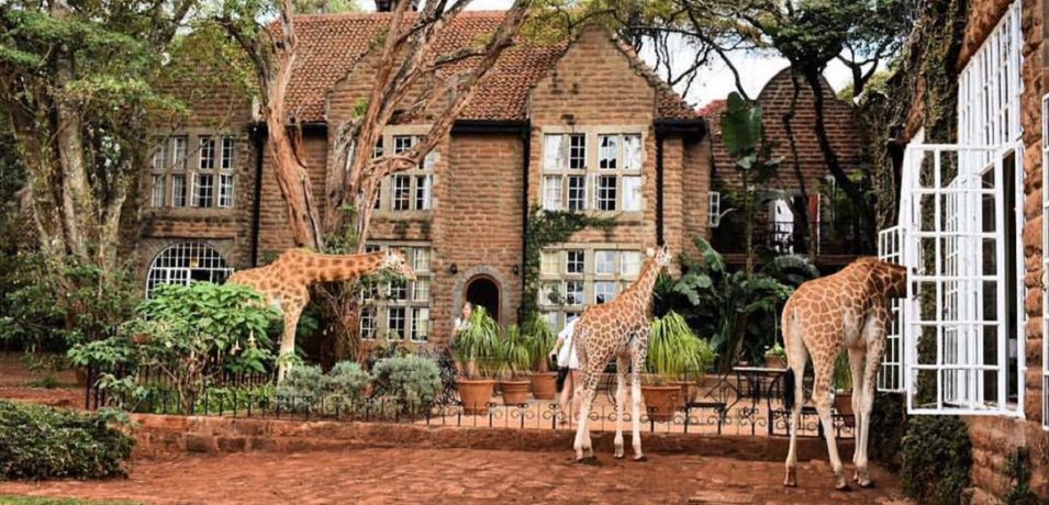 Giraffe Manor