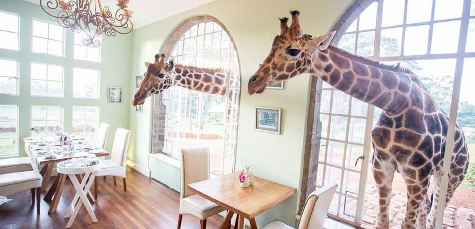 Giraffe Manor