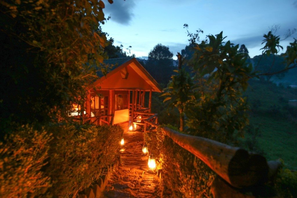 Gorilla Safari Lodge