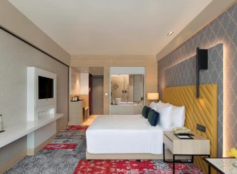 Superieur kamer, Grand Mercure Agra