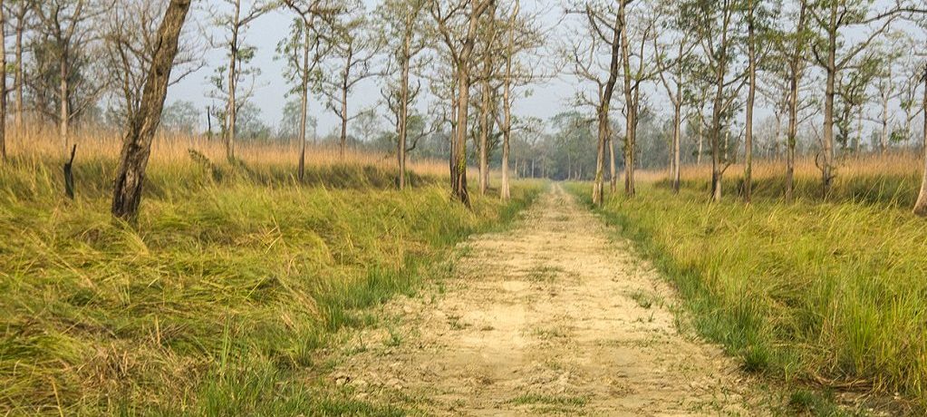 Suklaphanta Wildlife Reserve, Nepal