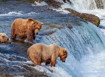 Beste tijd voor Alaska