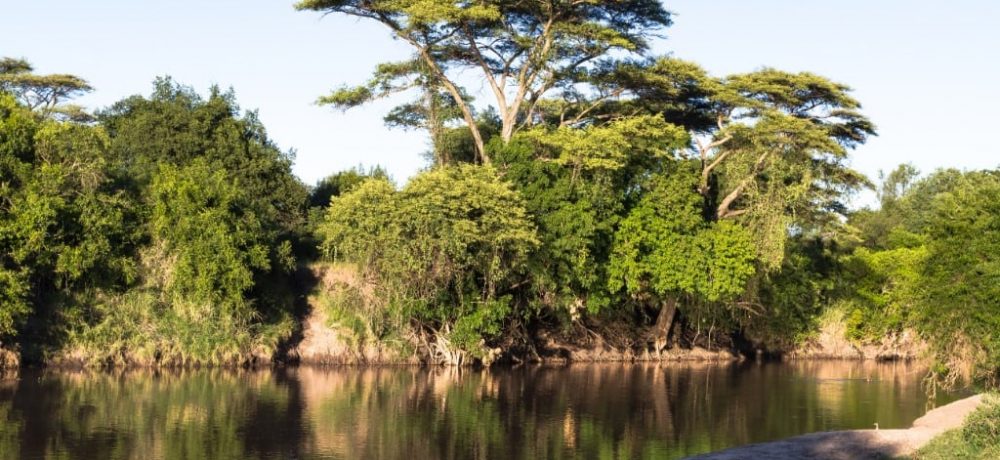 Grumeti River Serengeti