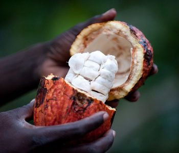 Activiteiten Sao Tomé é Principe