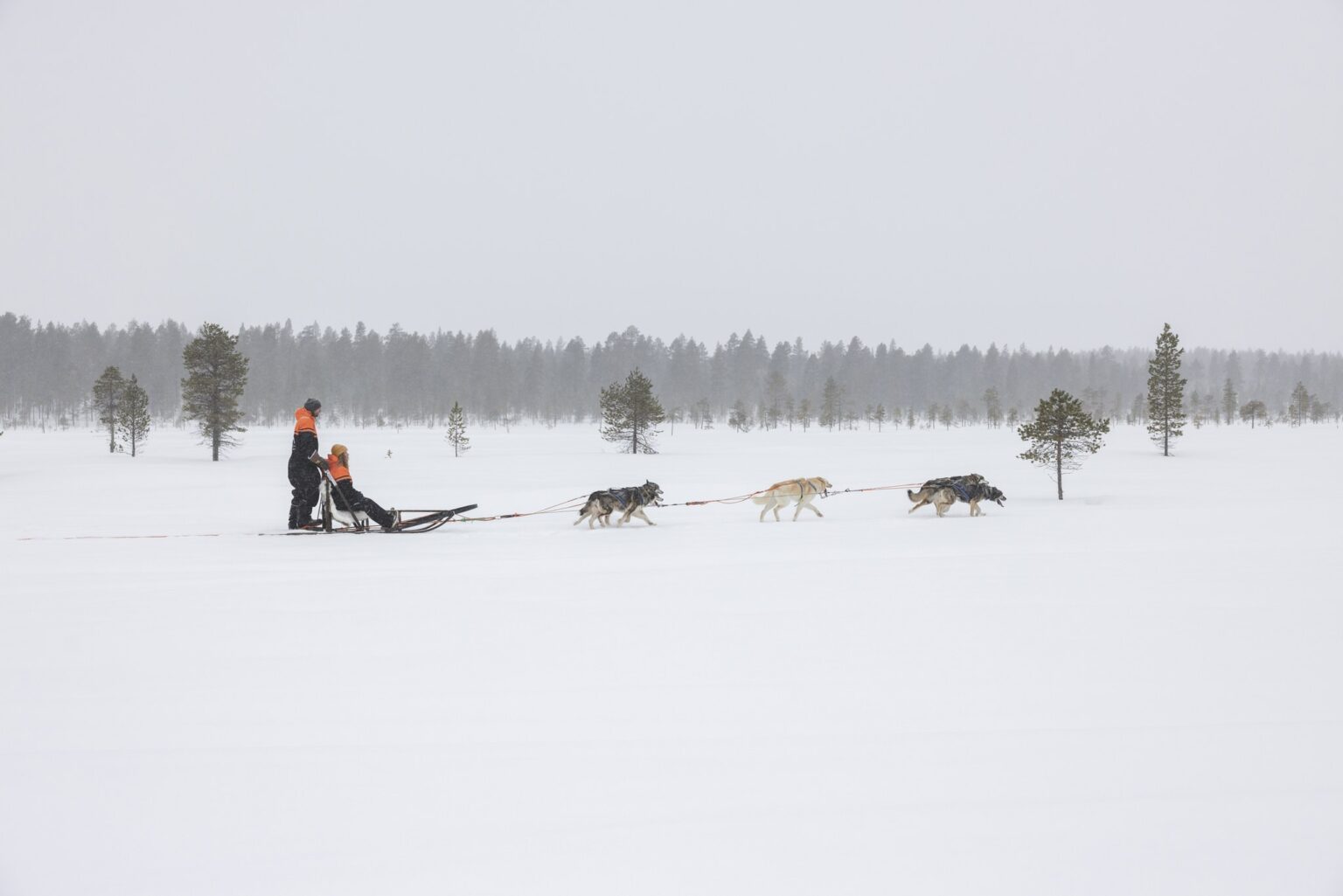 Authentieke Lapland winterreis