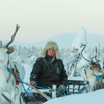 Harriniva Adventure Resort