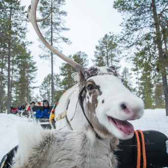 Harriniva Adventure Resort