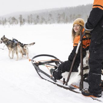 Huskysafari